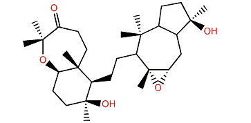 Sipholenone B